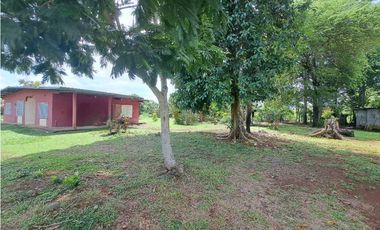 VENDO PROPIEDAD DE 1629M2 EN CHIRIQUI
