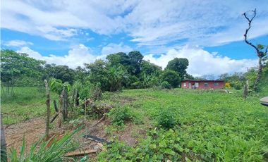 VENDO PROPIEDAD DE 1629M2 EN CHIRIQUI