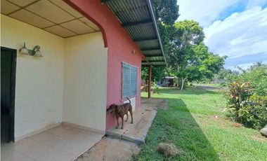 VENDO PROPIEDAD DE 1629M2 EN CHIRIQUI