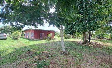 VENDO PROPIEDAD DE 1629M2 EN CHIRIQUI