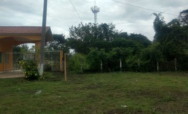 LOTE CAMPESTRE VENTA LA PALMA VILLAHERMOSA TABASCO