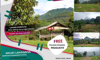 Tanah Pesona Villa Sukaharja Bogor - Murah
