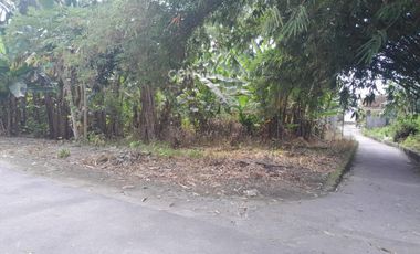 Tanah dijual di Kalitirto, Berbah, Sleman, Daerah Istimewa Yogyakarta