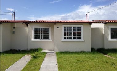 ALQUILER DE CASA EN PALO ALTO PENONOME