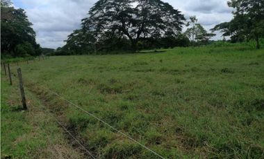 VENTA DE FINCA DE 202 HECTREAS, MONTERIA