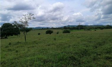 VENTA DE FINCA DE 202 HECTREAS, MONTERIA