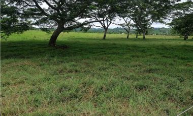 VENTA DE FINCA DE 202 HECTREAS, MONTERIA