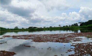 VENTA DE FINCA DE 202 HECTREAS, MONTERIA