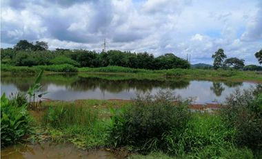 VENTA DE FINCA DE 202 HECTREAS, MONTERIA