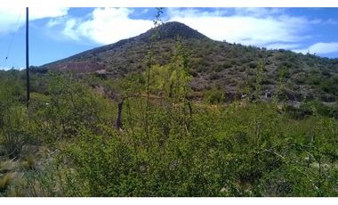 LOTE 8000 METROS LOS ZORZALES POTRERILLOS