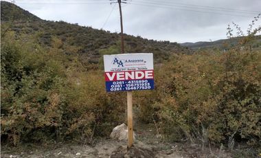 LOTE 8000 METROS LOS ZORZALES POTRERILLOS