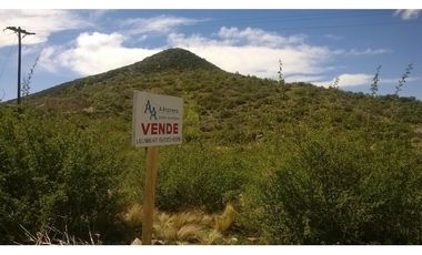 LOTE 8000 METROS LOS ZORZALES POTRERILLOS