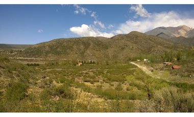 LOTE 8000 METROS LOS ZORZALES POTRERILLOS