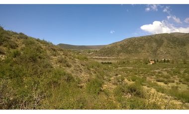LOTE 8000 METROS LOS ZORZALES POTRERILLOS