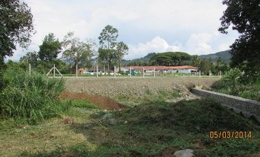 LOTE EN VENTA EN SANTAGUEDA/CALDAS