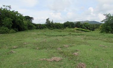 LOTE EN VENTA EN SANTAGUEDA/CALDAS