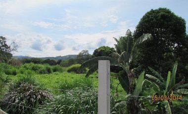 LOTE EN VENTA EN SANTAGUEDA/CALDAS