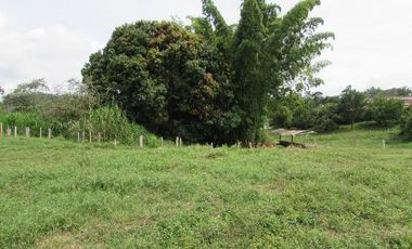 LOTE EN VENTA EN SANTAGUEDA/CALDAS