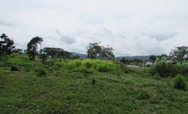 LOTE EN VENTA EN SANTAGUEDA/CALDAS