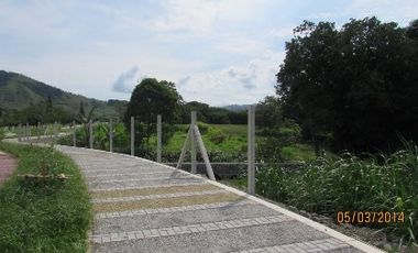 LOTE EN VENTA EN SANTAGUEDA/CALDAS