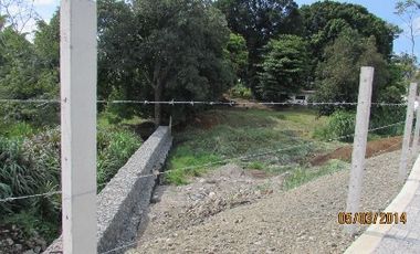 LOTE EN VENTA EN SANTAGUEDA/CALDAS