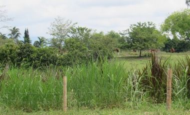 LOTE EN VENTA EN SANTAGUEDA/CALDAS