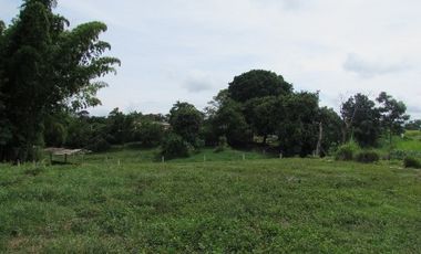 LOTE EN VENTA EN SANTAGUEDA/CALDAS