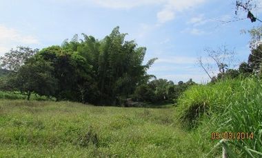 LOTE EN VENTA EN SANTAGUEDA/CALDAS