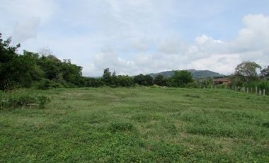 LOTE EN VENTA EN SANTAGUEDA/CALDAS