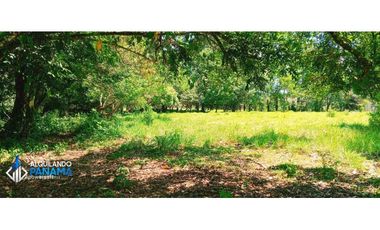 Se vende espectacular finca especial para desarrollo residencial!