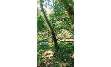 Se vende espectacular finca especial para desarrollo residencial!