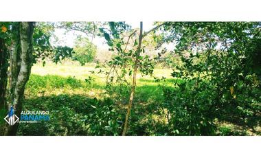 Se vende espectacular finca especial para desarrollo residencial!