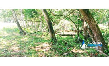 Se vende espectacular finca especial para desarrollo residencial!