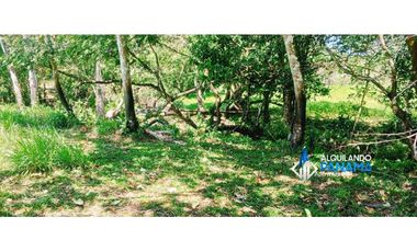 Se vende espectacular finca especial para desarrollo residencial!