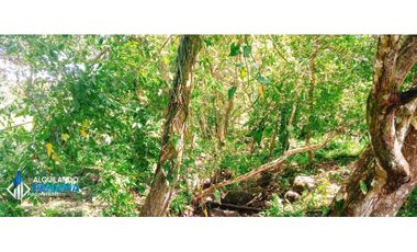 Se vende espectacular finca especial para desarrollo residencial!