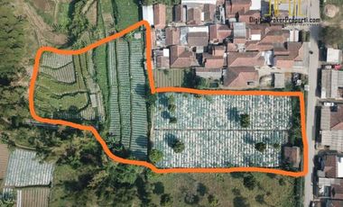 BU CEPAT tanah luas cocok untuk villa di cisarua bandung