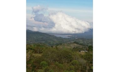 Finca En San Vicente De Ferrer