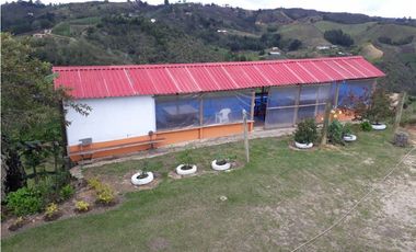 Finca En San Vicente De Ferrer