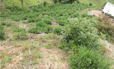 Finca En San Vicente De Ferrer