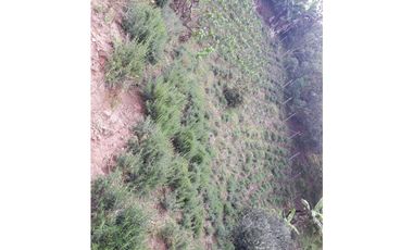 Finca En San Vicente De Ferrer