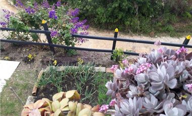 Finca En San Vicente De Ferrer