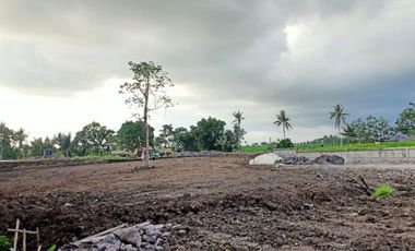 TANAH KAVLING PINGGIR JALAN DI CANGGU BALI