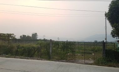 Land for sale in Mae Na Wang, Chiang Mai