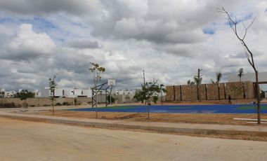 Lotes en Venta en Desarrollo Privado al Norte de Mérida con Servicios Subterráne