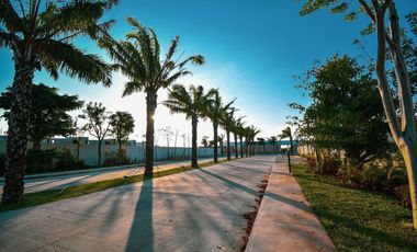 Lotes en Venta en Desarrollo Privado al Norte de Mérida con Servicios Subterráne