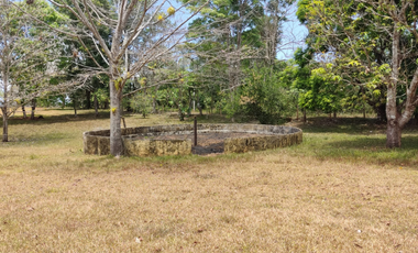 Se Vende Finca de 18 Hectáreas Cerro Cama