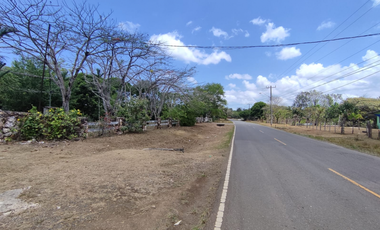 Se Vende Finca de 18 Hectáreas Cerro Cama