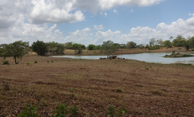 Se Vende Finca de 18 Hectáreas Cerro Cama