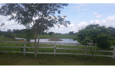 Se Vende Finca de 18 Hectáreas Cerro Cama