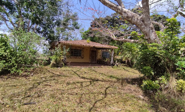 Se Vende Finca de 18 Hectáreas Cerro Cama